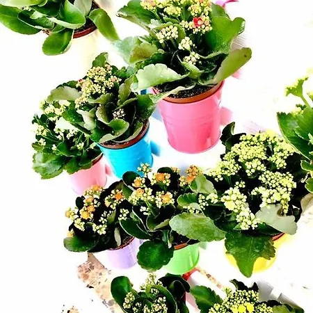 Bed & Breakfast Tenuta Don Vittorio 3*