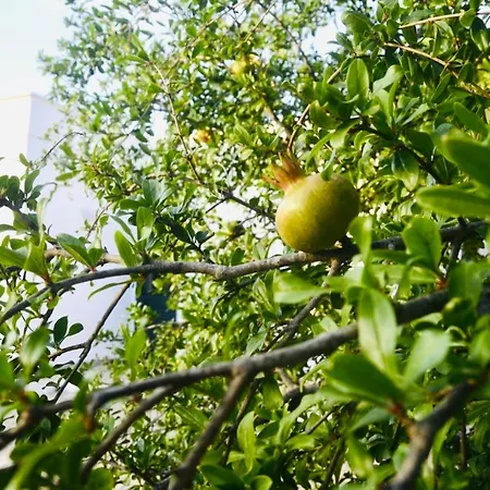 Bed & Breakfast Tenuta Don Vittorio