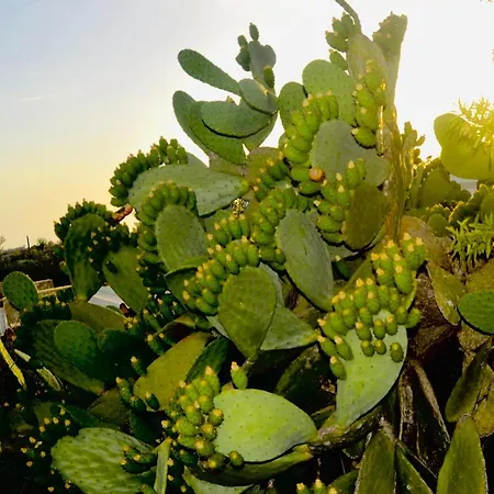 Tenuta Don Vittorio Bed & Breakfast