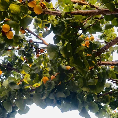 Bed & Breakfast Tenuta Don Vittorio